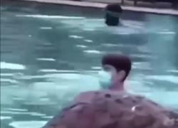Covid e la psicosi sulle restrizioni: dall'uso della mascherina sott'acqua e al bar al casco "anti virus" - VIDEO per non dimenticare