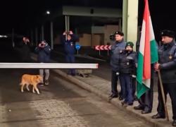 Romania entrata nell'area Schengen, a sorpresa un cane randagio è il primo a varcare il confine tra applausi e bandiere - VIDEO