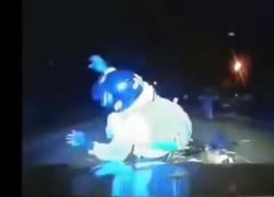 Uk, inseguimento di chi fugge in motorino, polizia inglese può effettuare tamponamento per fermarlo, manovre autorizzate da 6 anni - VIDEO