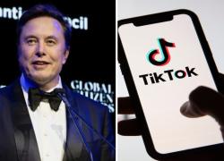 "Elon Musk compra TikTok, la Cina valuta la vendita della divisione statunitense per aggirare il bando negli Usa" - RUMORS