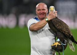 La Lazio Calcio licenza il falconiere che ha pubblicato foto dopo un intervento di protesi alle parti intime