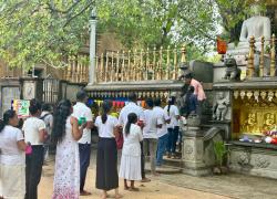 Viaggio solitario in Sri Lanka, a caccia di tesori, tra arte, archeologia e natura