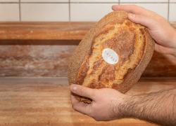 Eataly, arriva il Pane Eataly, simbolo dei valori del Gruppo; filiera, biodiversità e artigianalità in un impasto unico