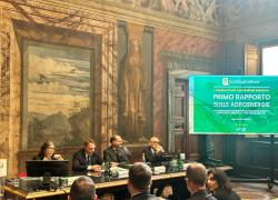 Confagricoltura ed Enel, presentato il I° rapporto dell'Osservatorio Agroenergie, l'energia rinnovabile in agricoltura sarà al 10% nel 2030