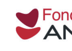 Fondazione ANIMA, annunciati i vincitori dei primi due bandi e sostegno ad altri due progetti con impegno finanziario di oltre €160.000