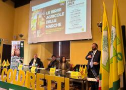 Accise Birra. On. Mirco Carloni, Presidente Commissione Agricoltura: “Con emendamento passo concreto a sostegno dei piccoli e microbirrifici artigianali italiani”