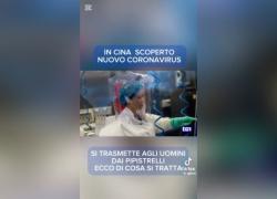 Covid 2, riparte l'allarmismo ma è una bolla di sapone, il Tg1: “Nuovo coronavirus cinese trasmissibile da pipistrelli all’uomo” - VIDEO