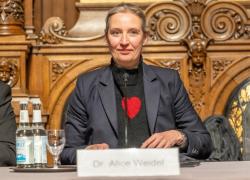 Germania, le politiche dell'establishment hanno provocato il boom dell'AfD: non solo immigrazione ma anche l'economia