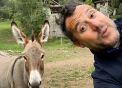 "Volevo essere un duro" riadattata su Salvini: "Volevo essere un mulo, ma sono un cacio, vivere la vita senza far fatica" - VIDEO