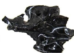Scavi Ercolano, trovato cervello umano vetrificato a causa del calore durante l'eruzione del Vesuvio del 79 dC, unico caso al mondo