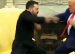 Trump e Zelensky fanno a botte durante l'incontro per le terre rare alla casa bianca, calci e pugni come due wrestler - IL VIDEO AI