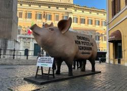 Maiale davanti alla Camera dei Deputati, la protesta di Greenpeace contro gli allevamenti intensivi: "Onorevoli non potete più ignorarmi" - VIDEO