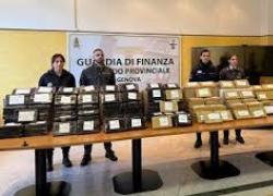 Genova, tra le scatolette di tonno erano nascosti 240 chilogrammi di cocaina, maxi sequestro in porto