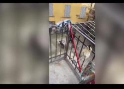 Samardo Samuels libero, i primi VIDEO del ritorno a casa dopo l'arresto: va in bici nel cortile, canta di notte ad alta voce, spiega alla vicina che "il cane è buono"