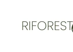 Axpo Italia e Pulsee Luce e Gas, lanciato con il MASE il progetto "RiforestAzione" per la promozione del verde urbano in 13 città 