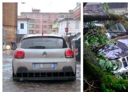 Emilia-Romagna, allerta rossa per maltempo, scuole chiuse a Bologna, il sindaco: "Evacuare i piani interrati dalle 22"