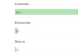 ReArm Europe, il SONDAGGIO del Giornale d'Italia: il 96% dei votanti è contro il piano di "guerra" di Ursula von der Leyen da 800mld