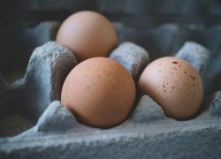Crisi delle uova, USA chiedono alla Danimarca e ad altri paesi produttori di esportarle, Copenaghen: "C'è carenza nel settore a livello globale"