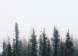 La Natura diminuisce lo stato di dolore: con la sua quiete e bellezza, l'ambiente naturale lenisce la sofferenza dell'anima e del corpo, offrendo conforto e guarigione
