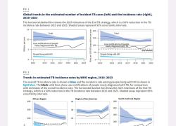 Tubercolosi in Italia, aumento nel 2025 ma nessun allarmismo, solo il 2.1% dei casi totali è registrato in tutta l'Europa, contagi in diminuzione costante da più di 10 anni