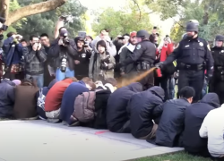 Protesta pacifica "Occupy Wall Street" alla California University a Davis, poliziotto John Pike spruzza spray al peperoncino su studenti - VIDEO VIRALE 