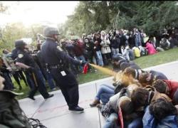 Università California a Davis sborsa 100mila $ per "cancellare dal web" video virale dello spray al peperoncino su studenti