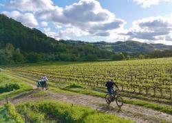 Pedalare tra i vigneti: "You'r Welcome®" rappresenta una nuova visione dell'ospitalità toscana, dove la storica cura del paesaggio si trasforma in un ecosistema di opportunità per residenti e visitatori
