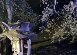 Lizzano (Taranto), auto finisce fuori strada e sbatte contro un albero, morti 4 giovani: Giorgio Massaro, Paolo Marangi, Giorgia Narducci e Anita Di Coste