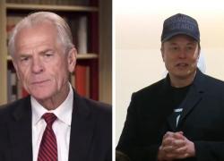 Dazi, Peter Navarro contro Musk: “Assemblatore di auto di cartone, batterie delle Tesla provengono da Cina e Giappone”, la replica: “Sei un cretino”