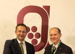 Vinitaly 2025 si chiude con Confagricoltura protagonista tra istituzioni, imprese, export USA e nuove tendenze del vino italiano