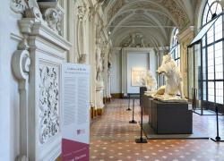 
Giovan Battista Foggini (1652-1725). Architetto e scultore granducale in mostra a Palazzo Palazzo Medici Riccardi di Firenze fino al 9 settembre 2025
