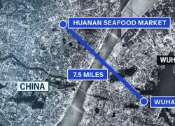 Covid, Casa Bianca: “Virus creato e uscito da laboratorio a Wuhan”, presentati i 5 punti sulla “vera origine” della pandemia 