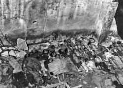 Genocidio armeno, 24 aprile di 110 anni fa l'inizio dello sterminio di 1,5 milioni di persone, Salvini: "Ferita della storia"