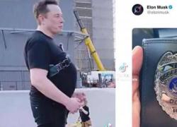 Usa, scivolone dei dem nel VIDEO MEME creato per "sfottere" Elon Musk, la canzone finisce con una bestemmia in italiano: "Porco ***"