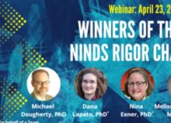 NINDS, assegnati i primi "Rigor Champions Prize"; premi a chi promuove rigore e trasparenza nella ricerca scientifica