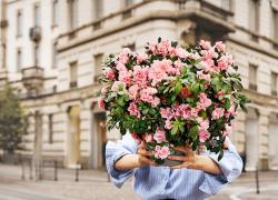 L’Azalea della Ricerca torna nelle piazze per la Festa della Mamma