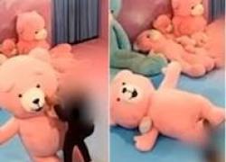 Roma, pugno in faccia al pupazzo orso della mostra Art of Play, ma dentro c'era una lavoratrice, prognosi di due mesi per ferita al volto - VIDEO