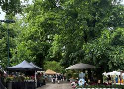Nell'aria c'è ORTICOLA (XXVIII edizione): la mostra torna a rallegrare i Giardini di Indro Montanelli