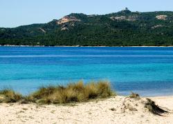 Sostenibilità dei mari, One Ocean Foundation avvia in Sardegna il più grande progetto di riforestazione del Mar Mediterraneo
