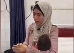 Gaza, i giornalisti mainstream si svegliano un anno e mezzo dopo: certa gente fa schifo, occorre dirlo con forza