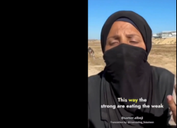 Gaza, il "disumano" sistema di aiuti umanitari, Hala Hammad: "Ci trattano come cani, ho 8 figli, moriamo di fame, solo il più forte mangia" - VIDEO
