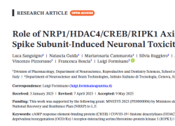 Vaccino Covid, il ruolo della neurotossicità indotta dalla proteina Spike nel danno cerebrale - STUDIO dell'università Federico II 