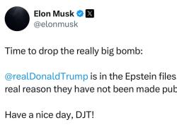 Trump-Musk, è rottura, tycoon: "Stop contratti governativi di Elon", replica: "Donald negli Epstein files, sì ad impeachment, ipotesi nuovo partito", Tesla crolla a Wall Street, -15%