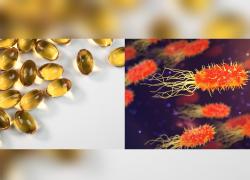 "Pillole di cacca" contro i superbatteri antibiotico resistenti, create con feci liofilizzate di donatori sani: ecco come funzionano