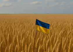 Terra, profitti e geopolitica: così le agri-holdings estere stanno colonizzando l’Ucraina agricola nel silenzio dell’UE
