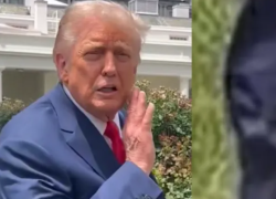 "Donald Trump ha il catetere o un tutore", la teoria social che spopola negli Stati Uniti riguardo ai pantaloni e alla salute del tycoon