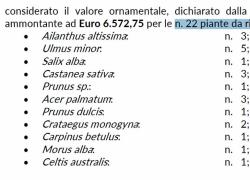 Giardino Scaldasole a Milano, "22 alberi da abbattere", che in realtà sono 30, ecco il DOCUMENTO dell'Assessorato all'Ambiente e Verde che sbugiarda Elena Grandi che aveva dichiarato: "Tagliate 3 piante malate"