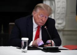 "Donald Trump ha l'Alzheimer", il nipote Fred III mette in guardia sulla salute mentale del tycoon, anche il padre del presidente era malato