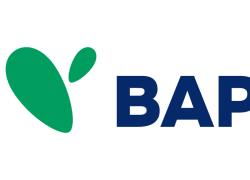 Banca Agricola Popolare di Sicilia si avvale delle competenze di BlackRock per la gestione degli asset proprietari 