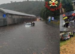 Maltempo, allerta arancione in Lombardia, Veneto e Friuli, a Milano 63enne uccisa da albero caduto, due i feriti in codice giallo